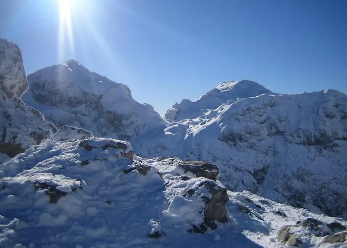 Plozner Дом отдыха *