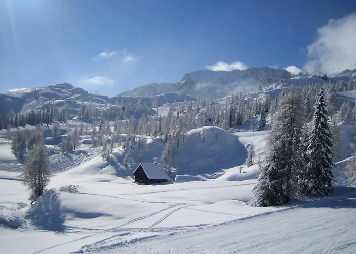 Дом отдыха Plozner